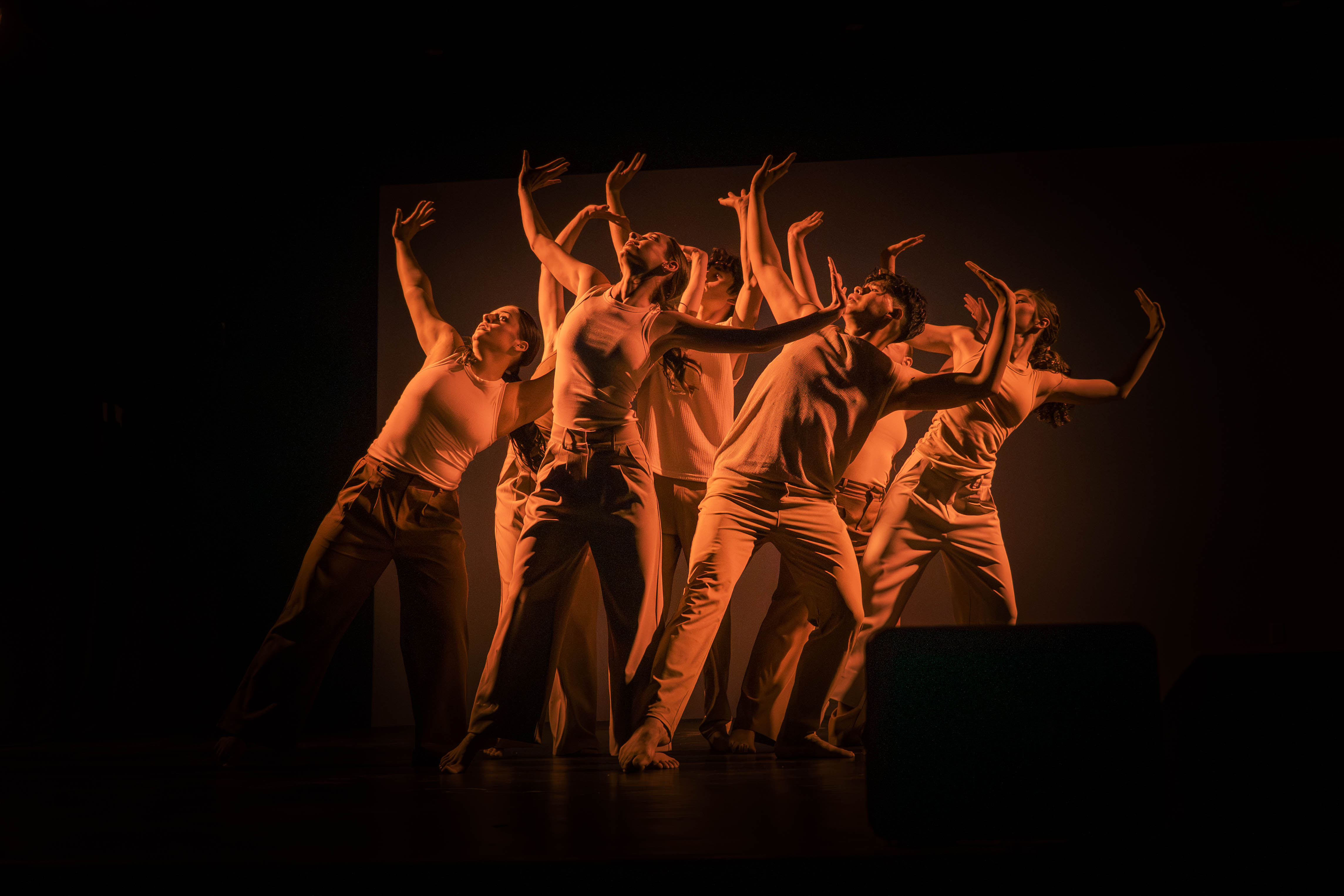 VelaDance dancers performing contemporary and modern dance — a professional South Jersey contemporary dance company